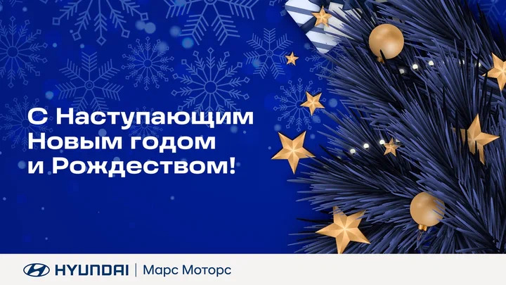 С наступающим Новым годом и Рождеством!